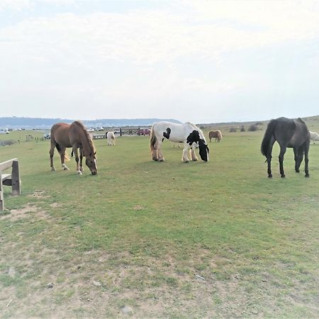 Greenways Valley Holiday Park Great Torrington Buitenkant foto