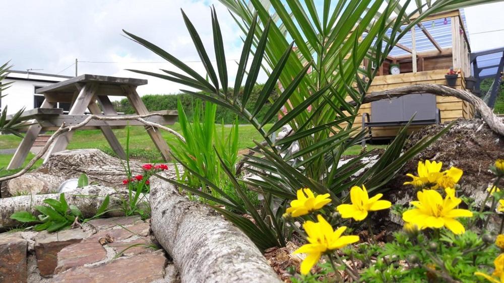 Greenways Valley Holiday Park Great Torrington Buitenkant foto