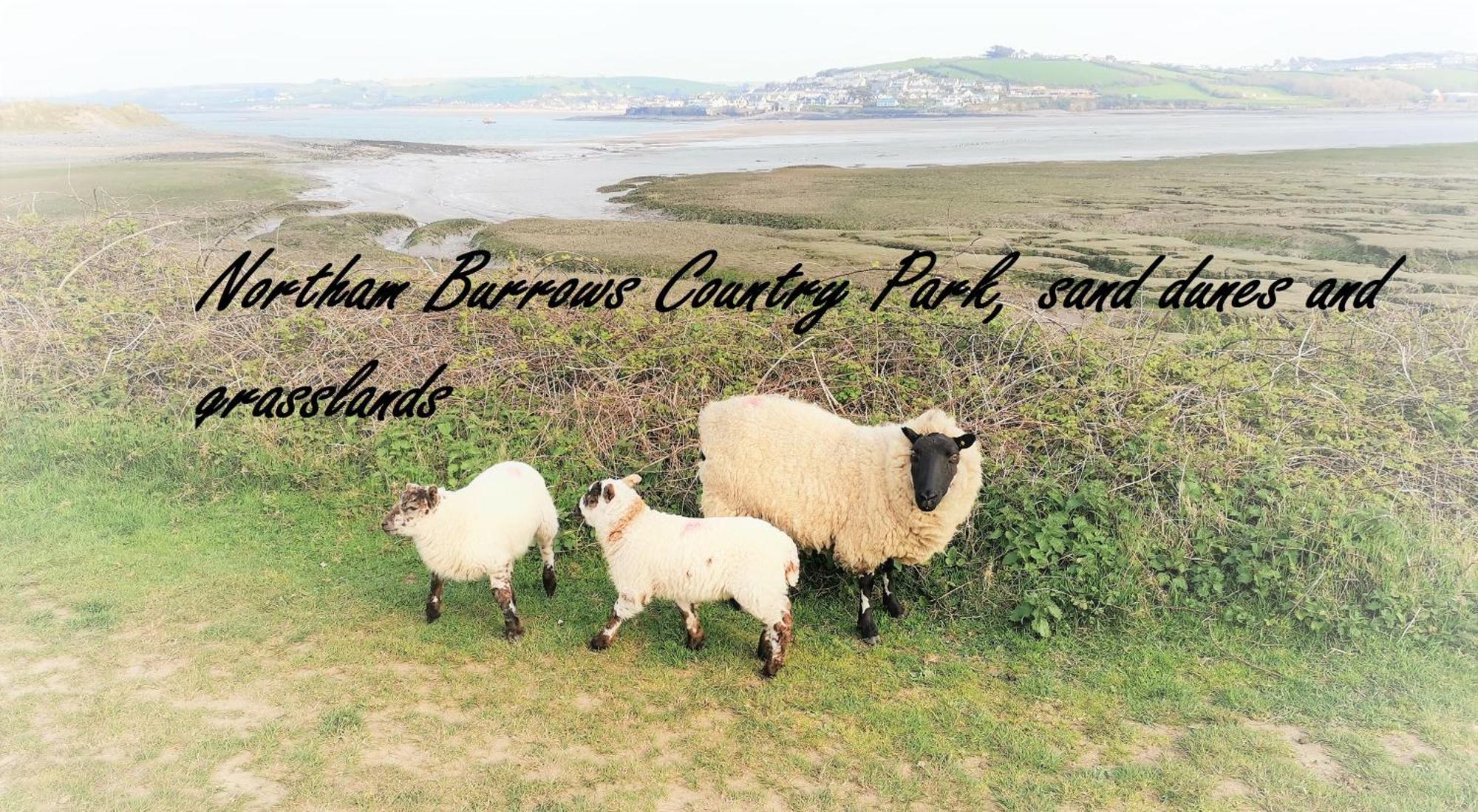 Greenways Valley Holiday Park Great Torrington Buitenkant foto